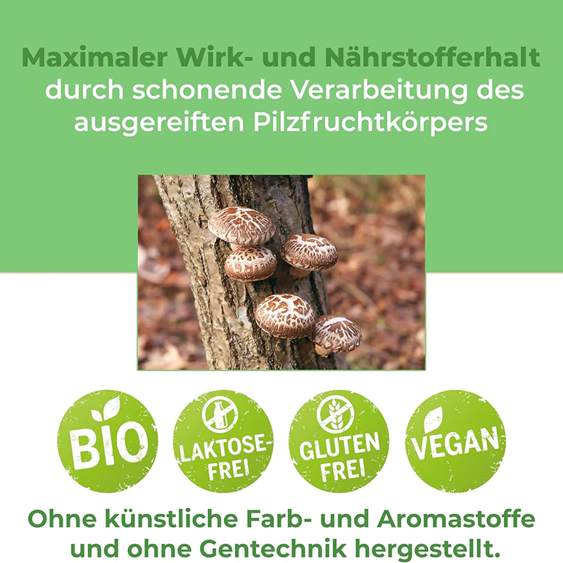 Bio Shiitake Pulver 250g – Premiumqualität für dein Wohlbefinden und deinen Genuss - Image 7